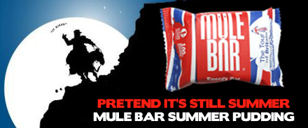 Mule Bar - Summer Pudding